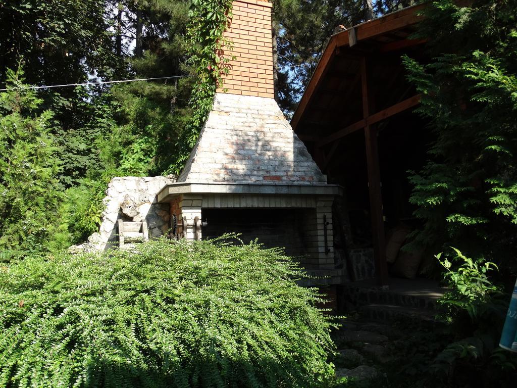 Hotel Grivitsa Pleven Pokoj fotografie